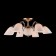Ceiling chandelier Ariele, 60W, E27, 75x75x35 cm