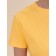 Crop top female Pelican, size 42, yellow color