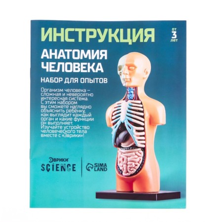 Set for experiments "human anatomy"-6