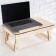 A tank for a laptop folding "Flower", 50 × 30 × 21cm