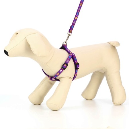 Set "Color Transes", leash 120 x 1 cm, fire 23-35 cm, purple-1