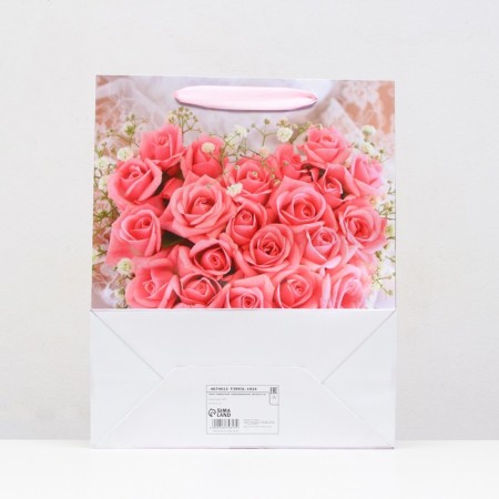 Laminated package, 26 x 32 x 12 cm-1