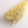 Set of dried flowers "Monetnik", banch length 60 (+/- 6 cm), bleached