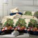 Bed linen 2SP, size 175x215, 180x215, 70x70 2pcs calico 120g 100% cotton