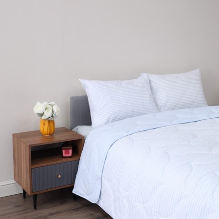 Euro set: blanket, sheet, pillowcases 50x70 cm-2 pcs
