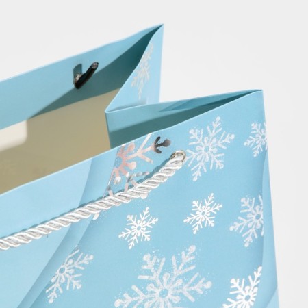 Laminated Lama Packet, 21 x 30 x 15 cm, New Year-5