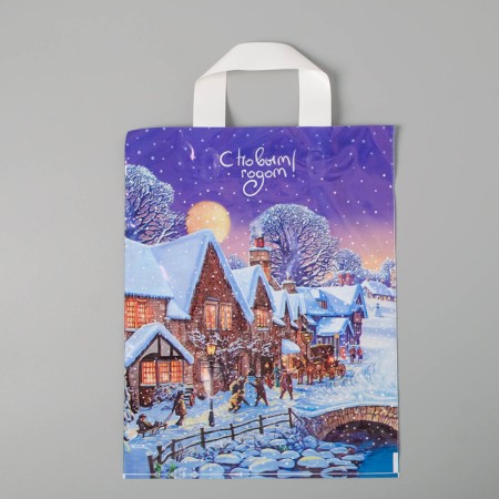 Package "Winter", polyethylene with a loop pen, 28 x 35 cm, 55 μm