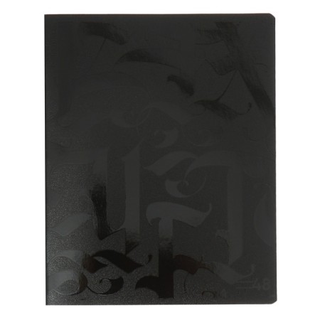 Notebook of 48 sheets in the Erichkrause Lettering cage, cover coated cardboard, OFSET block, 5V, mix-2
