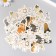 Stickers for the creativity of the "dog breed" embossing silver set 48 pcs 9x7x0.8 cm