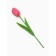 Soap pink tulip in a box
