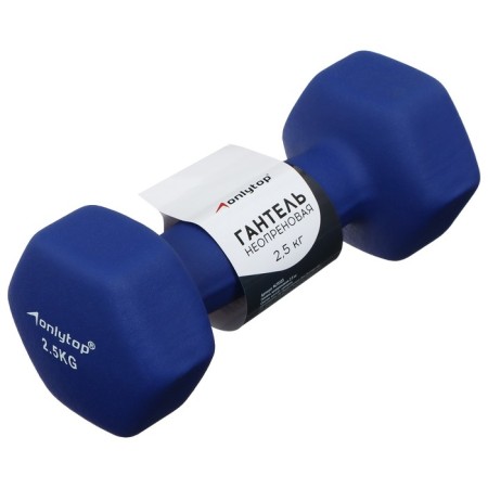 Neoprene dumbbells onlytop, 2.5 kg, blue color