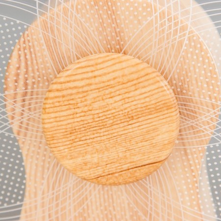 The touch of the touch "Flower" LED is spinning 6W USB 15x4x16 cm Risalux-5