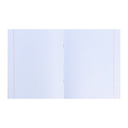 An objective note 48 sheets in the anime cell "Physics", the cover coated cardboard, embossing with cold foil, lamination of Soft-Touch, OFSET Block-2