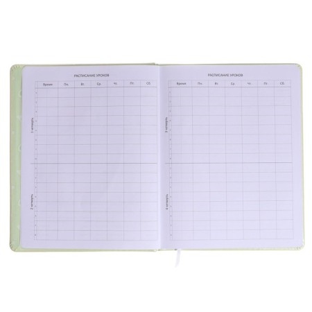 Universal diary for grade 1-11 Avocado Hug, solid cover, artificial leather, silkography, liesse, 80 g/m2-4