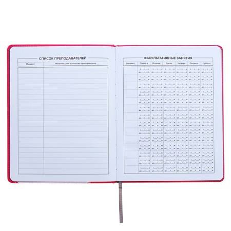 Universal Diary Grade 1-11, 48 sheets "Hare", a solid cover of artificial leather, silkography, OFSET block-8