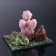 Souvenir "Angel Praying with a book", coil, marble