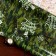 Glossy packaging "Camouflage", 70 × 100 cm, 1 pc.