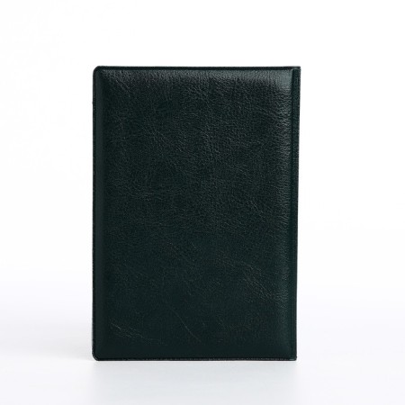 Cover for passport, green color-1