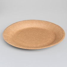 Disposable plate 
