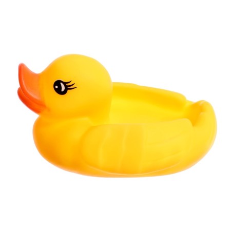 Developing set "sensory ducks", 3+-2