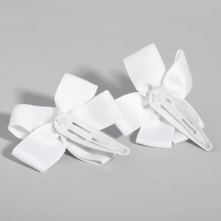 Hair hair clip, 2 pieces, Winx-2