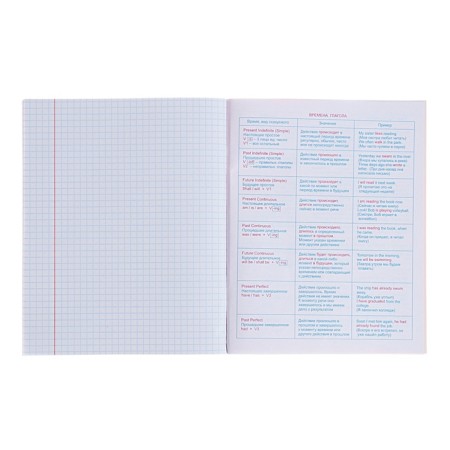 Subject “Domino”, 48 sheets in a cage, “English language”, plastic cover, offset block-4