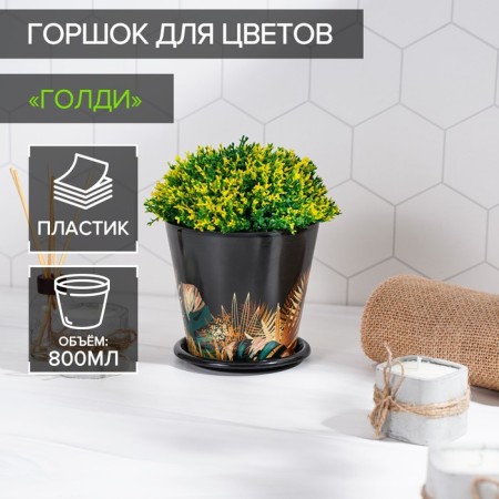 Pot for the flowers of the shade "Goldi", 800 ml, black color-4