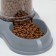 Auto -pound/auto feeder 1.5 l gray