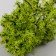 Artificial plant for creativity plastic "Platan" 12 cm