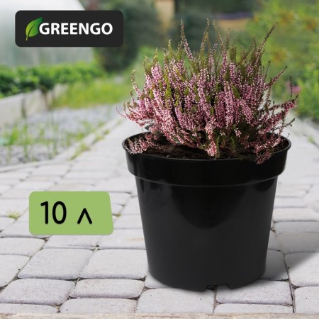 Pot for seedlings, 10 l, d = 29 cm, h = 22.5 cm, black, Greengo