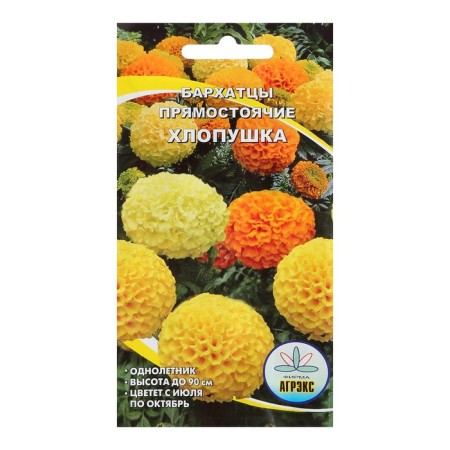 Flower seeds marigolds are erect "cracker", 0.2 g-2