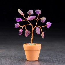 Souvenir in a pot 