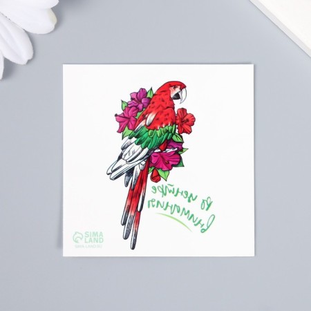 Tattoo on the body color "Parrot Ara - in the spotlight" 6x6 cm-1