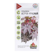 Cleshchevin's flower seeds 