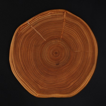 Grootboard from the saw of Wild Kitchen, D = 160-200 mm, thickness 30 mm, a solid massif of the cedar-6