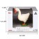 Figure "On the farm: White Goose"