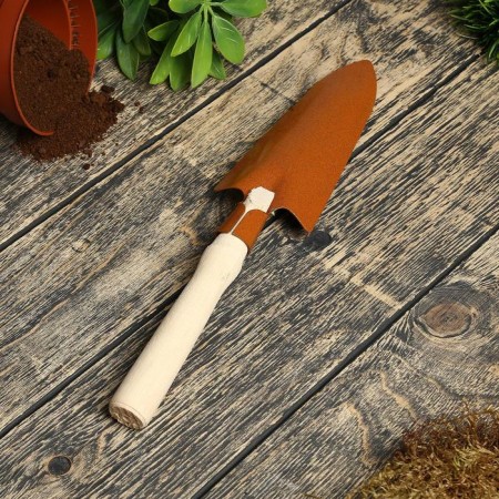 Supplostering scoop, length 35 cm, elongated, wooden handle, color mix-6