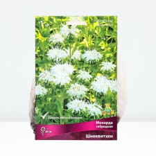 Hybrid Schneevithen Monard, Rr. L, 1 pc, Spring 2025