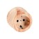 Bironi socket, with salary, plastic, pine color