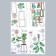 Sticker Plastic Interior color "indoor plants and florariums" 60x90 cm