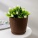 Pot for flowers with the Podon "Rotan", 2 l, the color is dark brown
