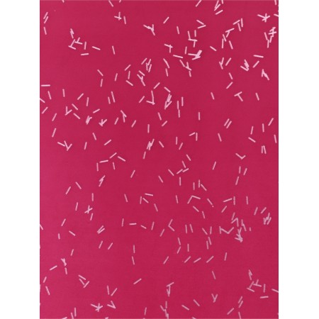 Flower film "Star Night", 58 cm x 5 m winery-4