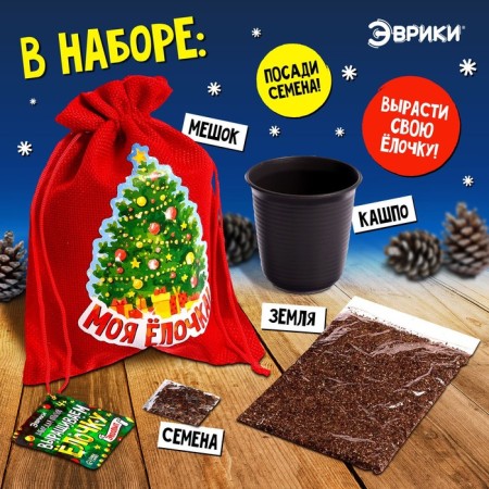 Set for experiments "grow a Christmas tree"-1
