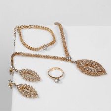 Set 4 objects: earrings, necklaces, bracelet, ring 