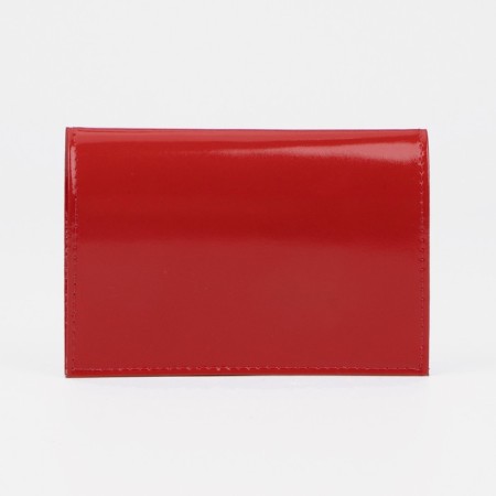 Cover for passport, red color-1