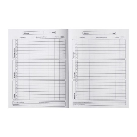 Universal diary for grades 1-11 Perspective, solid cover, selective UV-lame, matte lamination, cheat sheet, 48 sheets-4