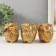 Souvenir Polystone "Golden owls" gold set 3 pcs 7.5x7.5x9 cm
