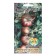Seed Tomat Harvard Square, 5 pcs