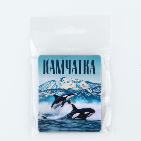 Vinet Vinyl "Kamchatka" 6 x 7 cm-4