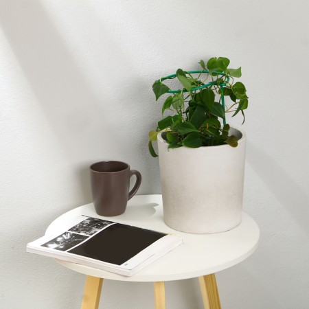 Trellis, 25 × 15 × 0.3 cm, metal, "circle", Greengo-1